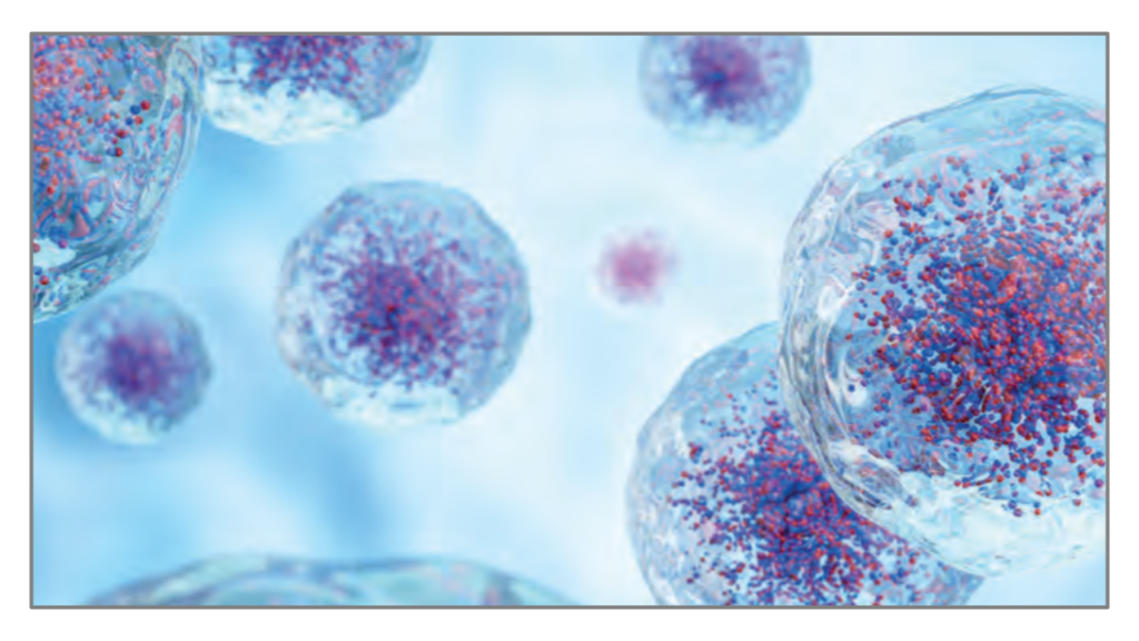 Intratumoral Immunotherapy Symposium 2026